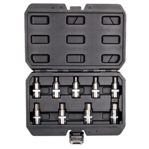 Hexagonal bits on socket 55 mm, set 9 pcs